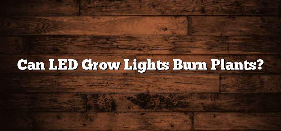 Can LED Grow Lights Burn Plants?