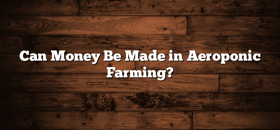 Can Money Be Made in Aeroponic Farming?