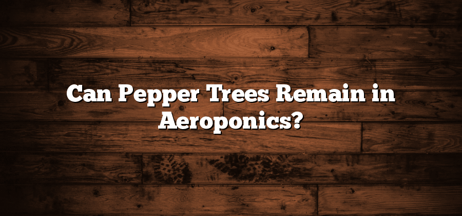 Can Pepper Trees Remain in Aeroponics?