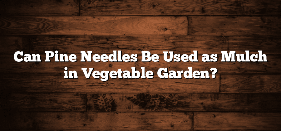 Can Pine Needles Be Used as Mulch in Vegetable Garden?