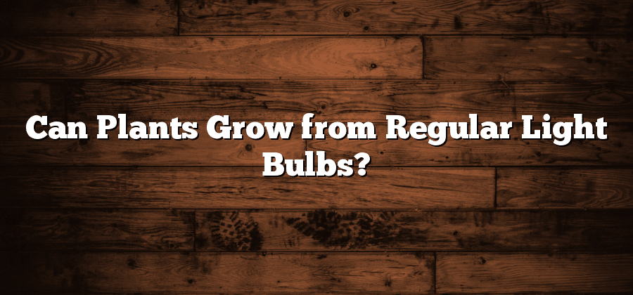 Can Plants Grow from Regular Light Bulbs?