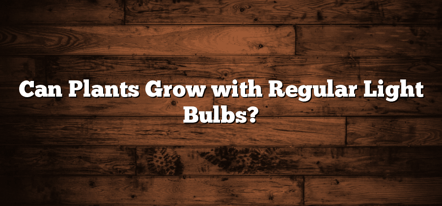 Can Plants Grow with Regular Light Bulbs?