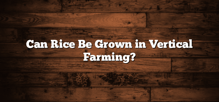Can Rice Be Grown in Vertical Farming?
