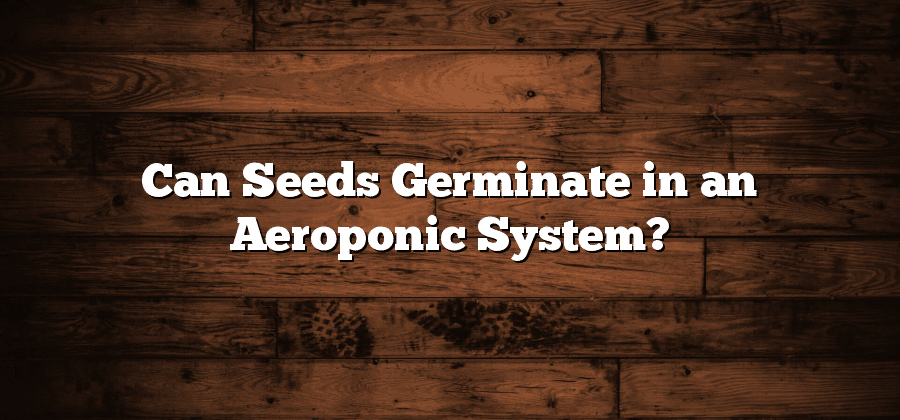 Can Seeds Germinate in an Aeroponic System?