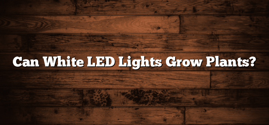 Can White LED Lights Grow Plants?