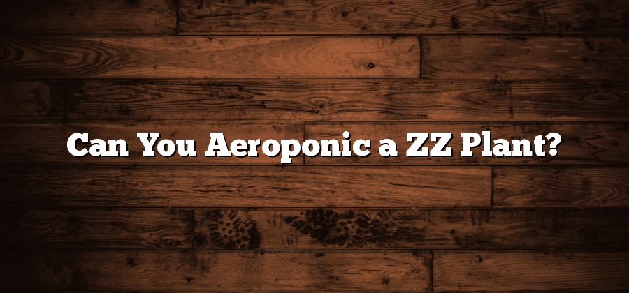 Can You Aeroponic a ZZ Plant?