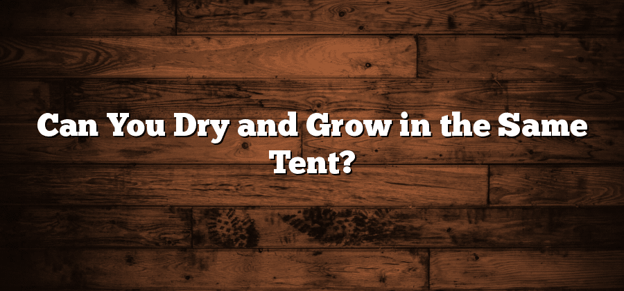 Can You Dry and Grow in the Same Tent?