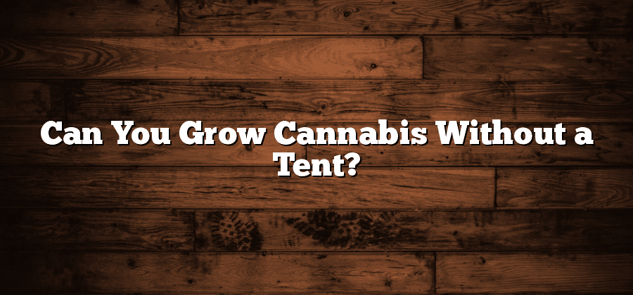 Can You Grow Cannabis Without a Tent?