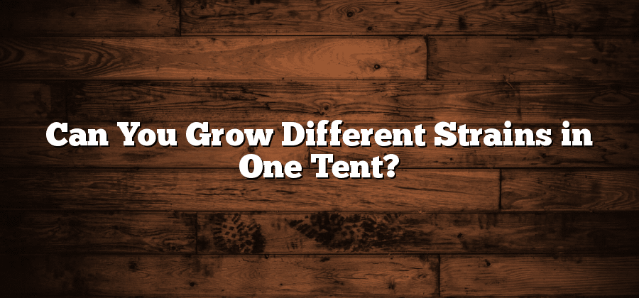 Can You Grow Different Strains in One Tent?