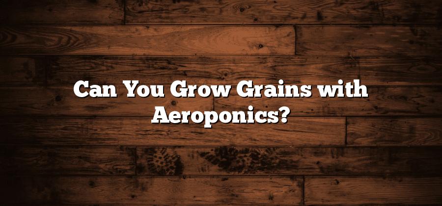 Can You Grow Grains with Aeroponics?
