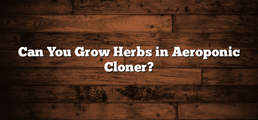 Can You Grow Herbs in Aeroponic Cloner?