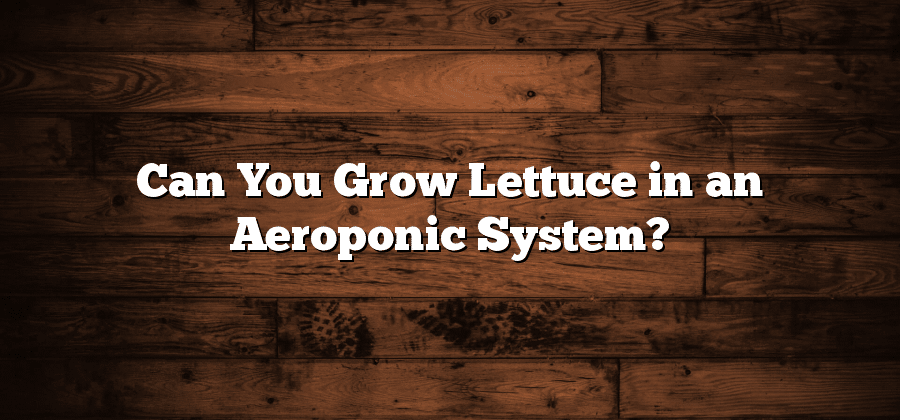 Can You Grow Lettuce in an Aeroponic System?