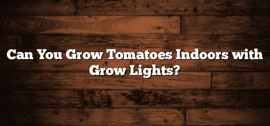 Can You Grow Tomatoes Indoors with Grow Lights?