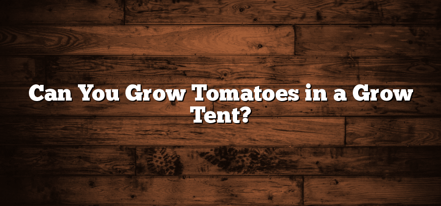 Can You Grow Tomatoes in a Grow Tent?