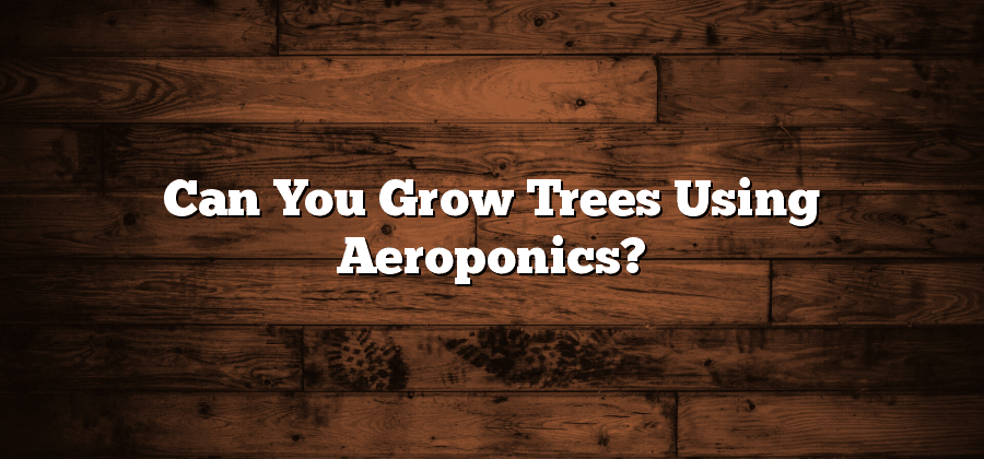 Can You Grow Trees Using Aeroponics?