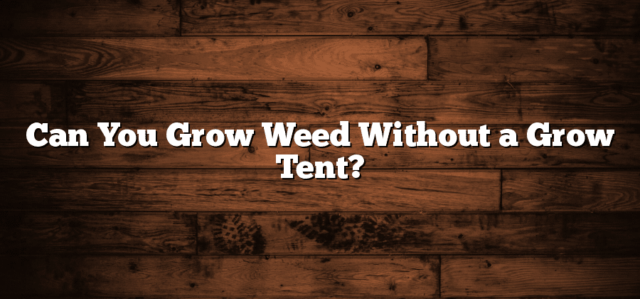 Can You Grow Weed Without a Grow Tent?