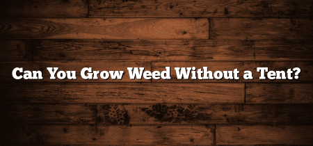 Can You Grow Weed Without a Tent?