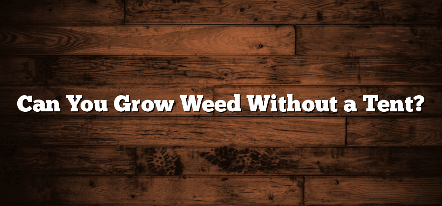 Can You Grow Weed Without a Tent?