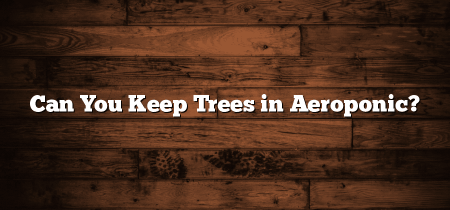 Can You Keep Trees in Aeroponic?