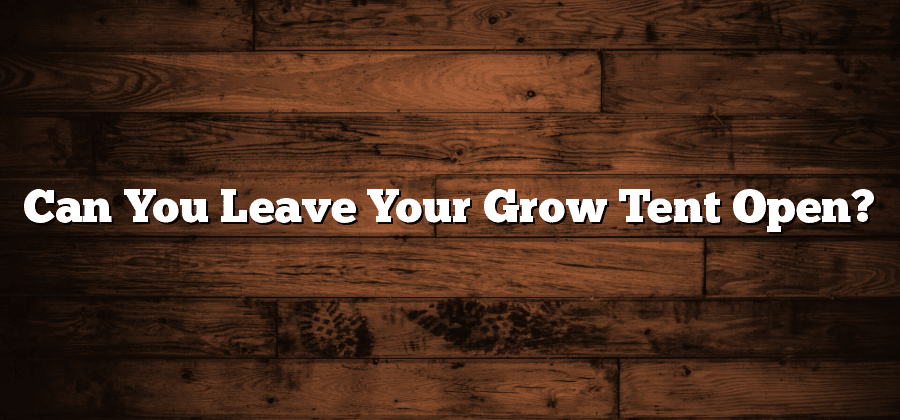 Can You Leave Your Grow Tent Open?