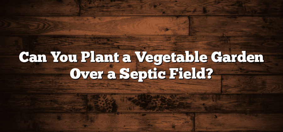 Can You Plant a Vegetable Garden Over a Septic Field?