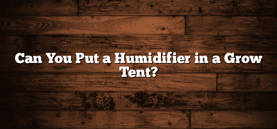 Can You Put a Humidifier in a Grow Tent?