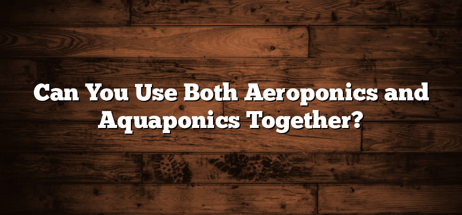 Can You Use Both Aeroponics and Aquaponics Together?