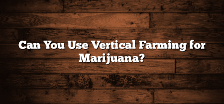 Can You Use Vertical Farming for Marijuana?