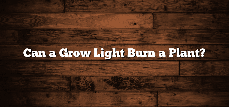 Can a Grow Light Burn a Plant?