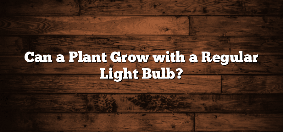 Can a Plant Grow with a Regular Light Bulb?