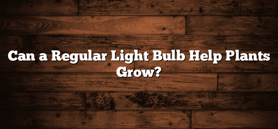Can a Regular Light Bulb Help Plants Grow?