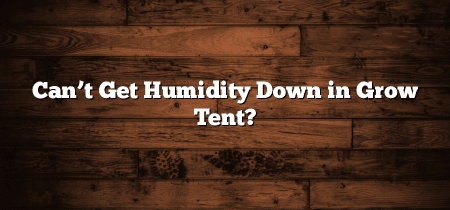 Can’t Get Humidity Down in Grow Tent?