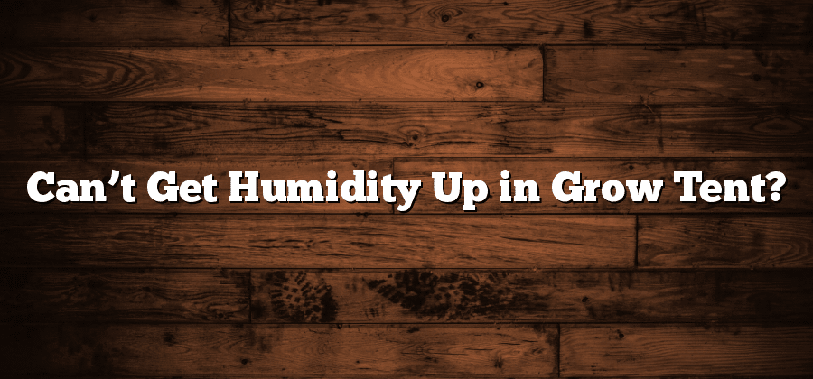 Can’t Get Humidity Up in Grow Tent?