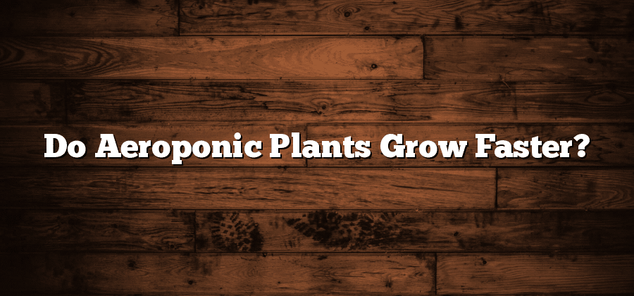 Do Aeroponic Plants Grow Faster?