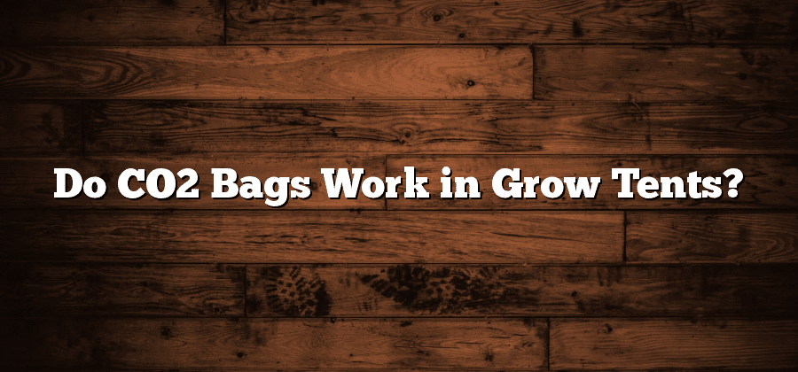 Do CO2 Bags Work in Grow Tents?