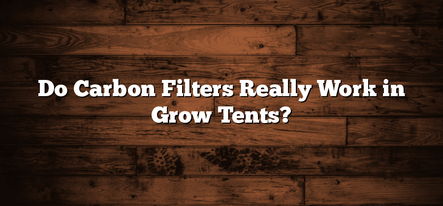 Do Carbon Filters Really Work in Grow Tents?