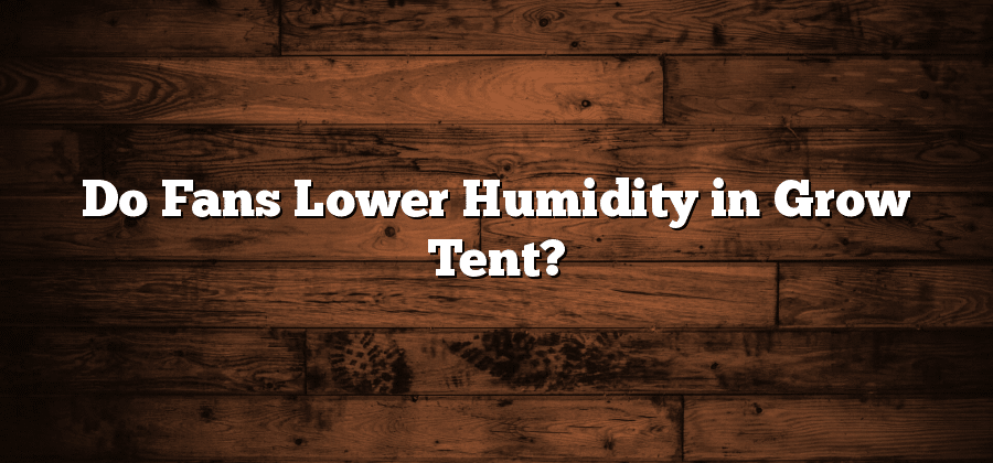 Do Fans Lower Humidity in Grow Tent?