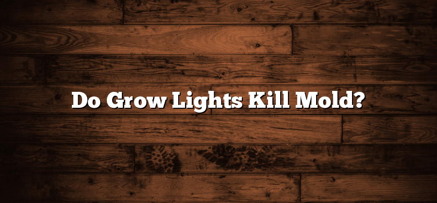 Do Grow Lights Kill Mold?
