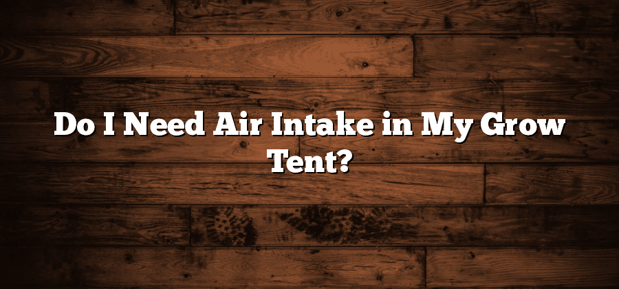 Do I Need Air Intake in My Grow Tent?