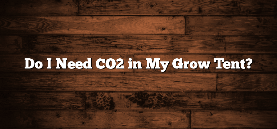 Do I Need CO2 in My Grow Tent?