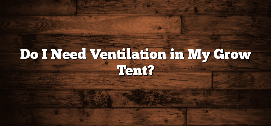 Do I Need Ventilation in My Grow Tent?