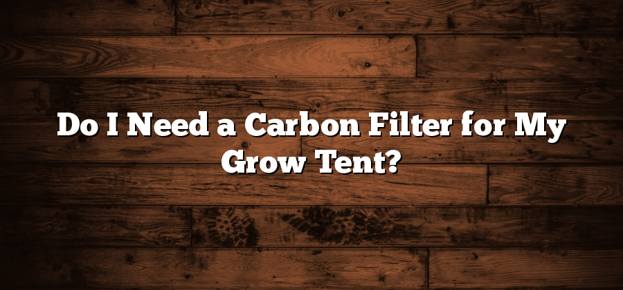 Do I Need a Carbon Filter for My Grow Tent?