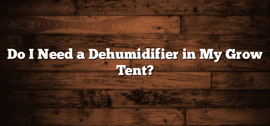Do I Need a Dehumidifier in My Grow Tent?