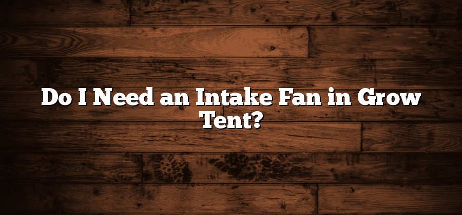 Do I Need an Intake Fan in Grow Tent?