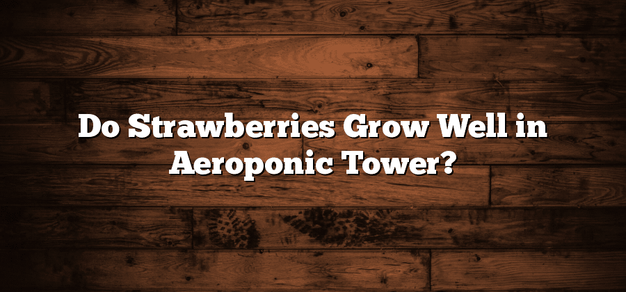 Do Strawberries Grow Well in Aeroponic Tower?