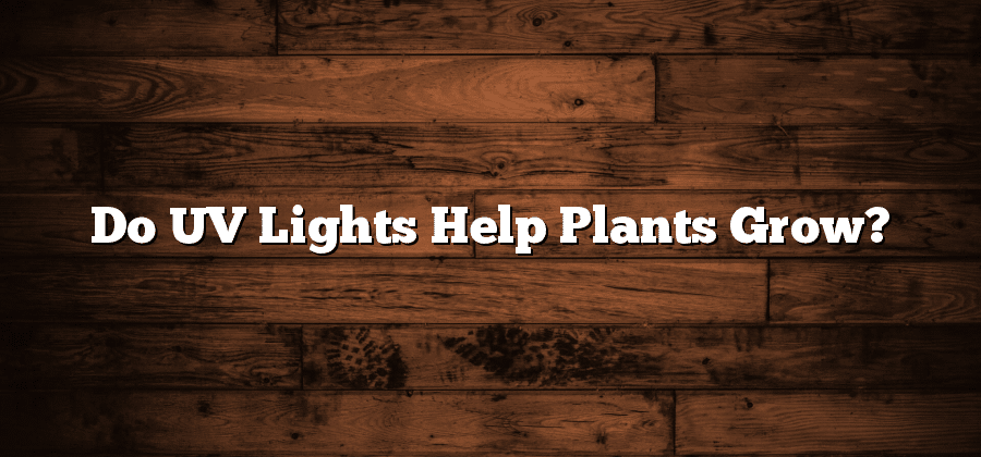 Do UV Lights Help Plants Grow?