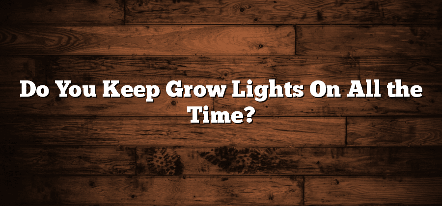 Do You Keep Grow Lights On All the Time?