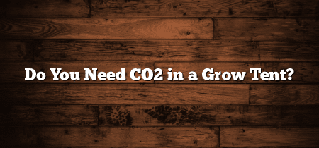 Do You Need CO2 in a Grow Tent?