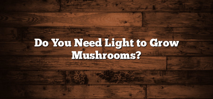 Do You Need Light to Grow Mushrooms?