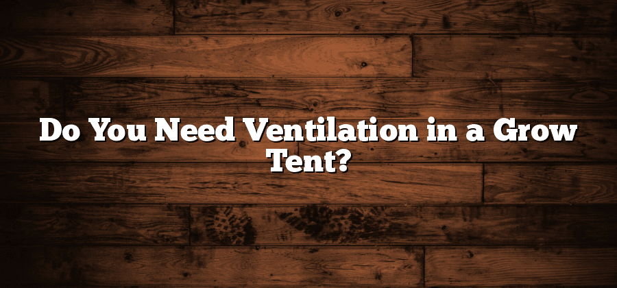 Do You Need Ventilation in a Grow Tent?